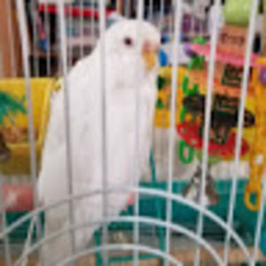 Meet your Posher, Gillian